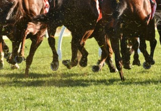 Horse Racing Aintree