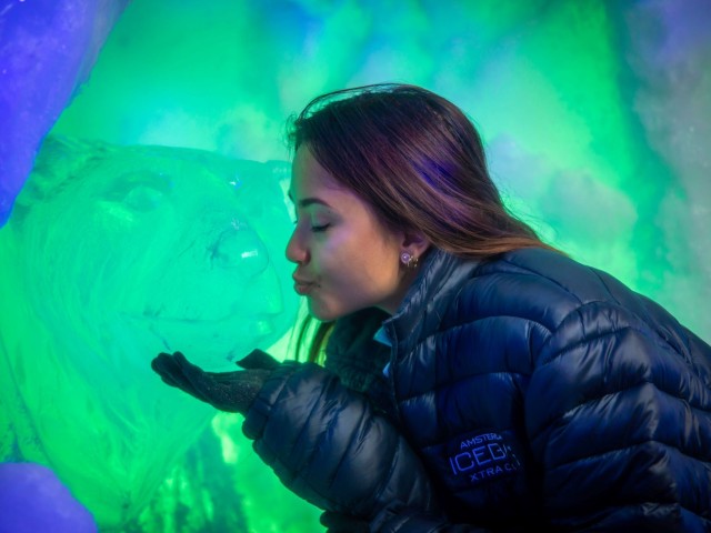 Icebar image